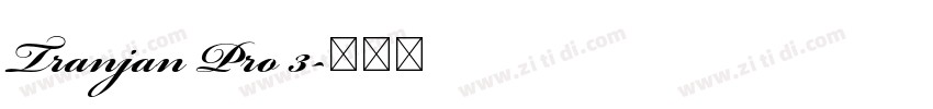 Tranjan Pro 3字体转换